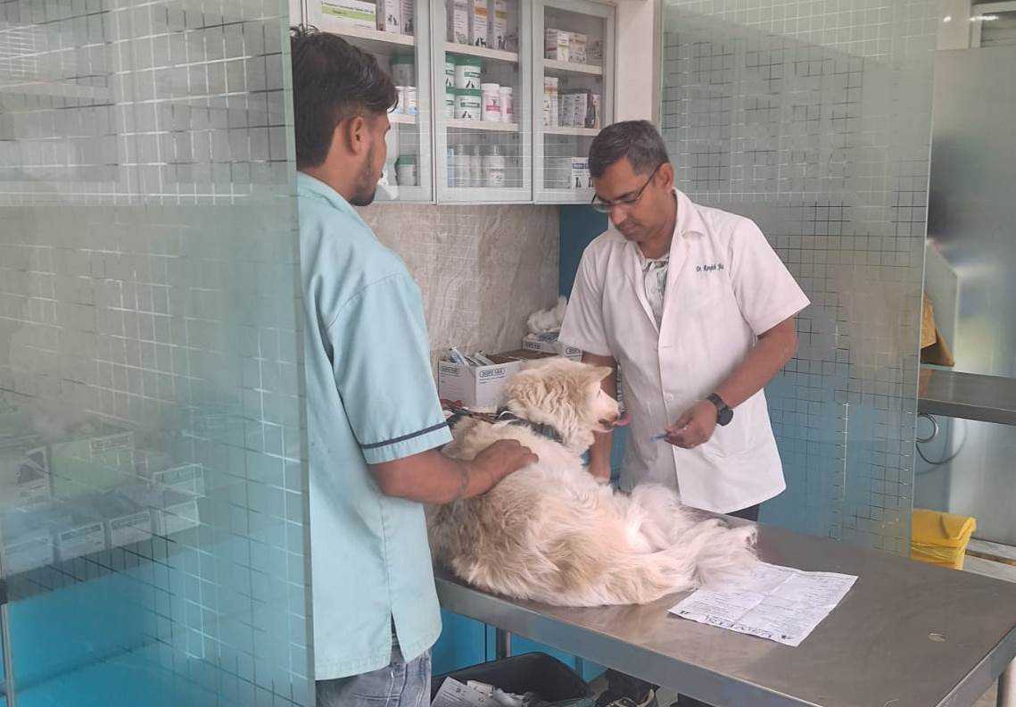 Pet Concern - Pet clinic & Pet Shop 
