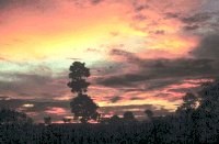 Assam : The Land of Red Rivers and Blue Hills