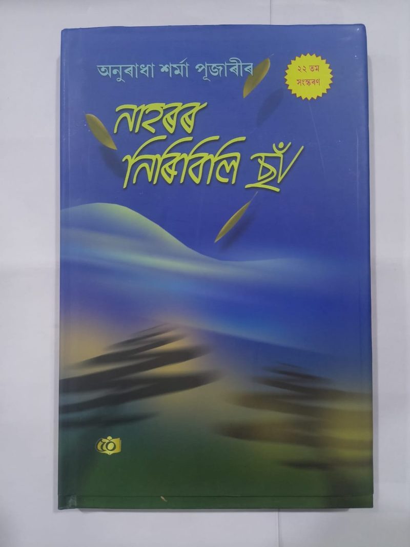 নাহৰৰ নিৰবিলি ছাঁ