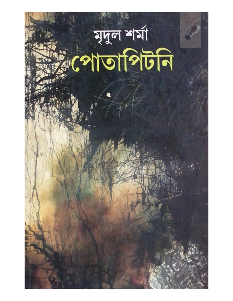 পোতাপিটনি (Potapitani)
